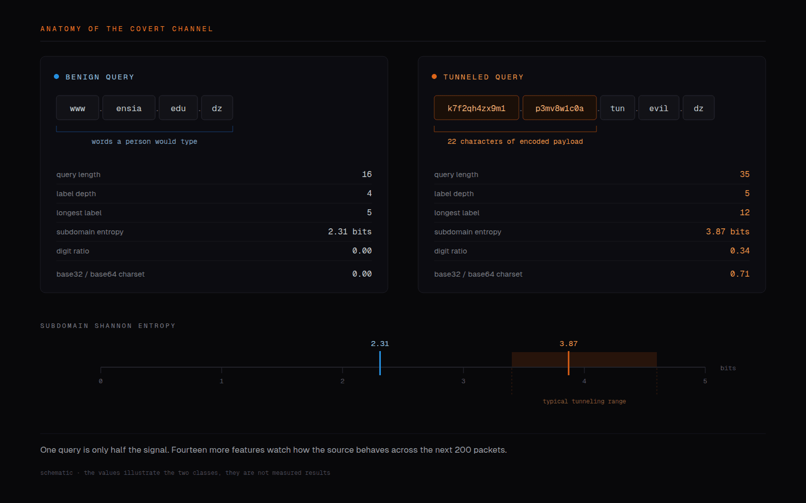 Anatomy of the covert channel: a benign query beside a tunneled one