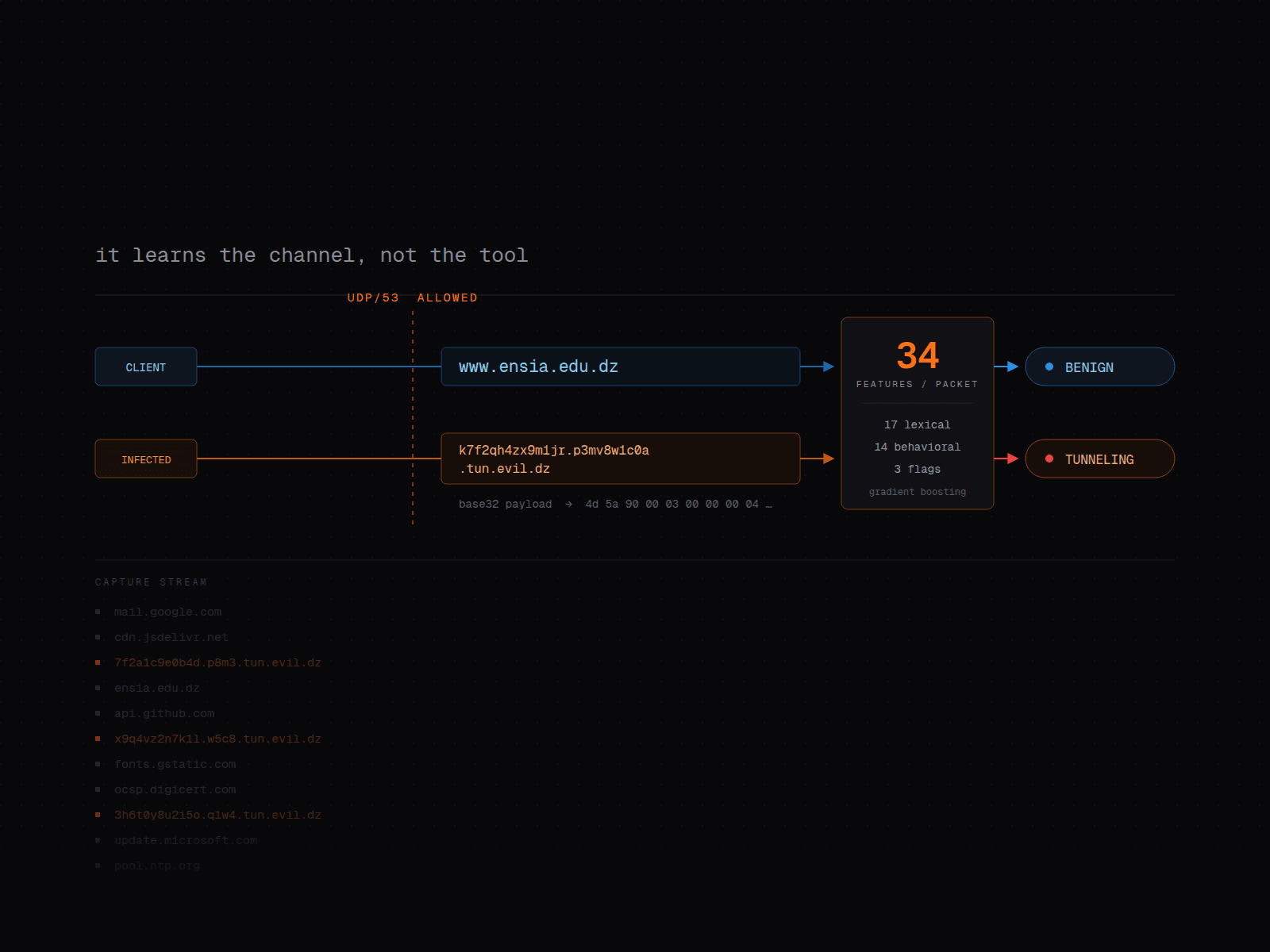 DNS Tunneling Detection: ML Pipeline, Machine Learning / Network Security project thumbnail